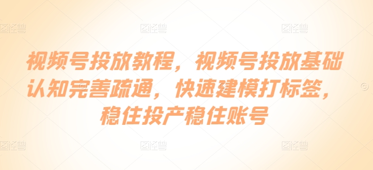 视频号投放教程,视频号投放基础认知完善疏通,快速建模打标签,稳住投产稳住账号-阳知网创资源库