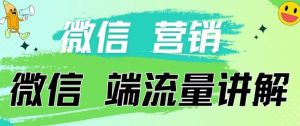 4.19日内部分享《微信营销流量端口》微信付费投流【揭秘】-阳知网创资源库