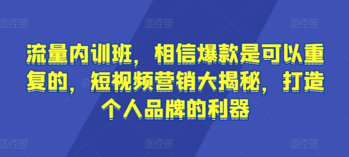 流量内训班,相信爆款是可以重复的,短视频营销大揭秘,打造个人品牌的利器-阳知网创资源库