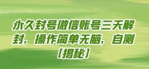 永久封号微信账号三天解封，操作简单无脑，自测【揭秘】-阳知网创资源库