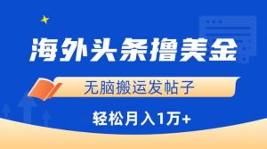 海外头条撸美金，无脑搬运发帖子，月入1万+，小白轻松掌握【揭秘】-阳知网创资源库