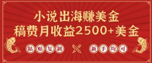 小说出海赚美金,稿费月收益2500+美金,仅需chatgpt粘贴复制,新手也能玩转【揭秘】-阳知网创资源库