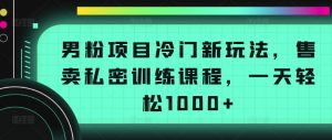 男粉项目冷门新玩法，售卖私密训练课程，一天轻松1000+【揭秘】-阳知网创资源库
