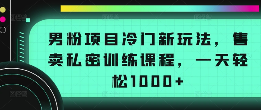 男粉项目冷门新玩法,售卖私密训练课程,一天轻松1000+【揭秘】-阳知网创资源库