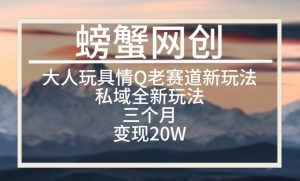 大人玩具情Q用品赛道私域全新玩法,三个月变现20W,老项目新思路【揭秘】-阳知网创资源库