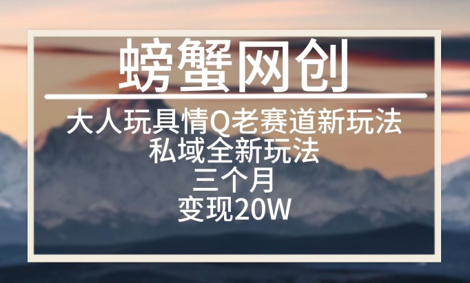 大人玩具情Q用品赛道私域全新玩法,三个月变现20W,老项目新思路【揭秘】-阳知网创资源库