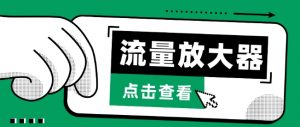 流量放大器,抖音公私域变现+soul私域轰炸器【揭秘】-阳知网创资源库