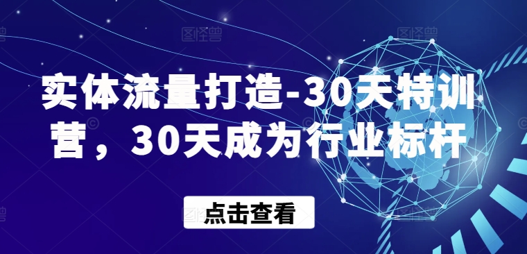 实体流量打造-30天特训营,30天成为行业标杆-阳知网创资源库