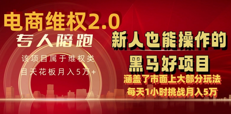 电商维权 4.0 如何做到月入 5 万+每天 1 小时新人也能快速上手【仅揭秘】-阳知网创资源库