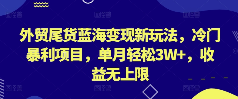 外贸尾货蓝海变现新玩法,冷门暴利项目,单月轻松3W+,收益无上限【揭秘】-阳知网创资源库