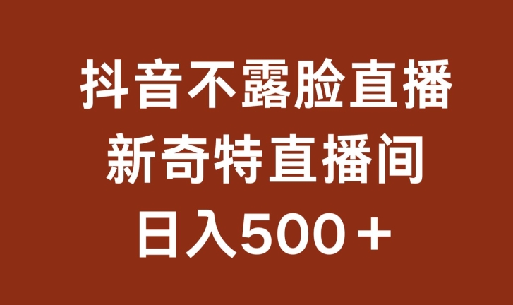 不露脸挂机直播,新奇特直播间,日入500+【揭秘】-阳知网创资源库