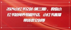 2024小红书文创(第三期),教你小红书如何养号和开店,小红书直播带货卖文创等-阳知网创资源库