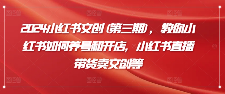 2024小红书文创(第三期),教你小红书如何养号和开店,小红书直播带货卖文创等-阳知网创资源库