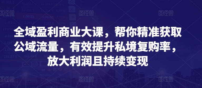 全域盈利商业大课,帮你精准获取公域流量,有效提升私境复购率,放大利润且持续变现-阳知网创资源库