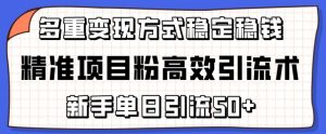 精准项目粉高效引流术，新手单日引流50+，多重变现方式稳定赚钱【揭秘】-阳知网创资源库