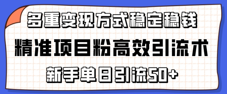 精准项目粉高效引流术,新手单日引流50+,多重变现方式稳定赚钱【揭秘】-阳知网创资源库
