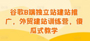 谷歌B端独立站建站推广,外贸建站训练营,傻瓜式教学-阳知网创资源库