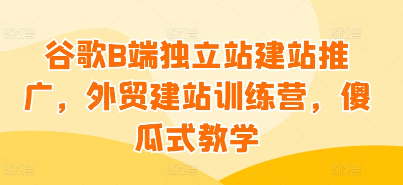 谷歌B端独立站建站推广,外贸建站训练营,傻瓜式教学-阳知网创资源库