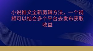 小说推文全新剪辑方法，一个视频可以结合多个平台去发布获取【揭秘】-阳知网创资源库