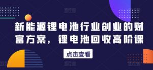 新能源锂电池行业创业的财富方案,锂电池回收高阶课-阳知网创资源库