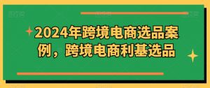 2024年跨境电商选品案例,跨境电商利基选品-阳知网创资源库