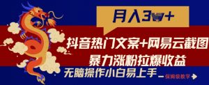 抖音热门文案+网易云截图暴力涨粉拉爆收益玩法,小白无脑操作,简单易上手【揭秘】-阳知网创资源库