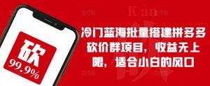 冷门蓝海批量搭建拼多多砍价群项目，收益无上限，适合小白的风口【揭秘】-阳知网创资源库