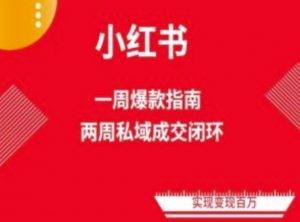 爆款小红书免费流量体系课程(两周变现),小红书电商教程-阳知网创资源库