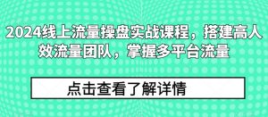 2024线上流量操盘实战课程,搭建高人效流量团队,掌握多平台流量-阳知网创资源库
