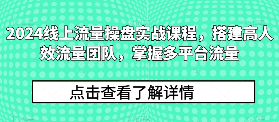 2024线上流量操盘实战课程,搭建高人效流量团队,掌握多平台流量-阳知网创资源库