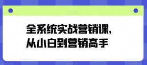 全系统实战营销课,从小白到营销高手-阳知网创资源库