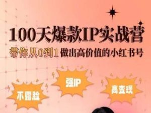 小红书100天爆款IP实战营,带你从0到1做出高价值的小红书号-阳知网创资源库