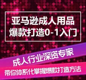 亚马逊成人用品爆款打造0-1入门,系统化讲解亚马逊成人用品爆款打造的流程-阳知网创资源库
