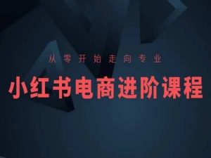 从零开始走向专业,小红书电商进阶课程-阳知网创资源库