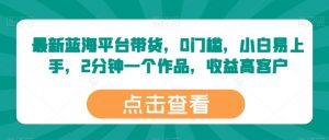 最新蓝海平台带货,0门槛,小白易上手,2分钟一个作品,收益高【揭秘】-阳知网创资源库