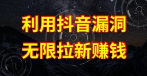 利用抖音链接漏洞，无限拉新赚钱【漏洞原理+操作流程】【揭秘】-阳知网创资源库