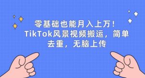 零基础也能月入上w,TikTok风景视频搬运,简单去重,无脑上传【揭秘】-阳知网创资源库
