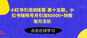 小红书引流训练营-第十五期,小红书矩阵号月引流80000+到微信方法论-阳知网创资源库