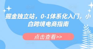 掘金独立站,0-1体系化入门,小白跨境电商指南-阳知网创资源库