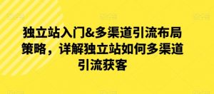 独立站入门&多渠道引流布局策略,详解独立站如何多渠道引流获客-阳知网创资源库