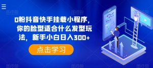 0粉抖音快手挂载小程序，你的脸型适合什么发型玩法，新手小白日入300+【揭秘】-阳知网创资源库