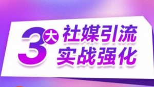 3大社媒引流实战强化,多渠道站外引流,高效精准获客,订单销售额翻倍增长-阳知网创资源库