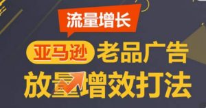 亚马逊流量增长-老品广告放量增效打法,循序渐进,打造更多TOP listing-阳知网创资源库