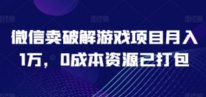 微信卖破解游戏项目月入1万,0成本资源已打包【揭秘】-阳知网创资源库