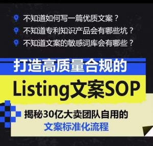 打造高质量合规的Listing文案SOP,掌握亚马逊文案工作的标准化-阳知网创资源库