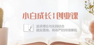 小白成长创业课:追求理论与实践结合,踏实落地,有尊严的持续赚钱-42节-阳知网创资源库