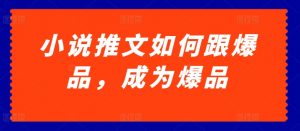 小说推文如何跟爆品，成为爆品【揭秘】-阳知网创资源库