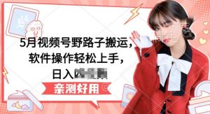 5月视频号野路子搬运,软件操作轻松上手,日入三位数【揭秘】-阳知网创资源库