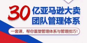 30亿亚马逊大卖团队管理体系,一套课,帮你重塑管理体系与管理技巧-阳知网创资源库