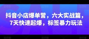 抖音小店爆单营，六大实战篇，7天快速起爆，标签暴力玩法-阳知网创资源库